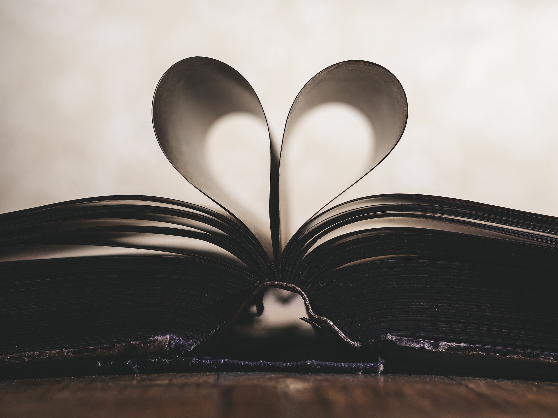 Corazón hecho con las hojas de un libro